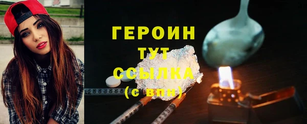 молекула духа Богородицк