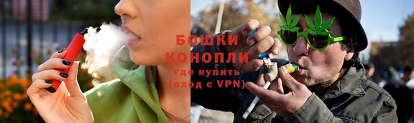 дживик Верхний Тагил