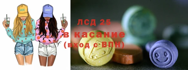 молекула духа Богородицк
