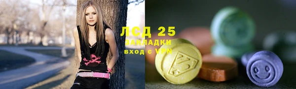 дживик Верхний Тагил