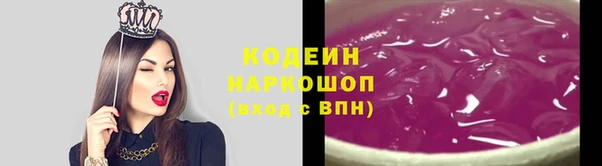 молекула духа Богородицк
