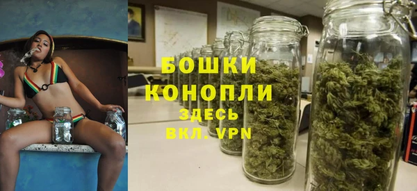 прущие грибы Сафоново