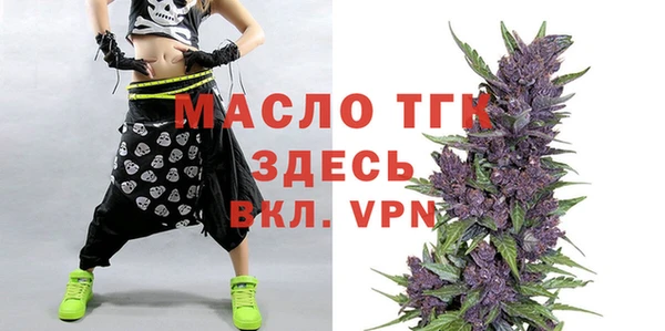 молекула духа Богородицк