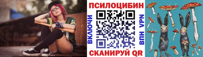 маркетплейс клад  где купить   Вилючинск  Псилоцибиновые грибы GOLDEN TEACHER 